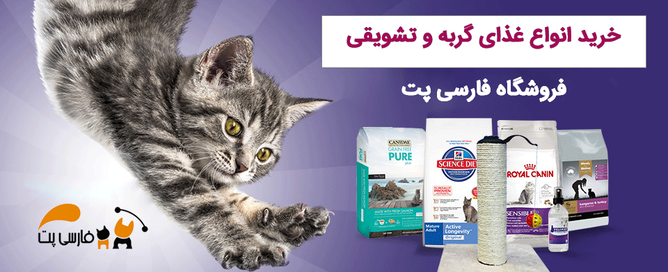 خرید غذای گربه از فروشگاه فارسی پت