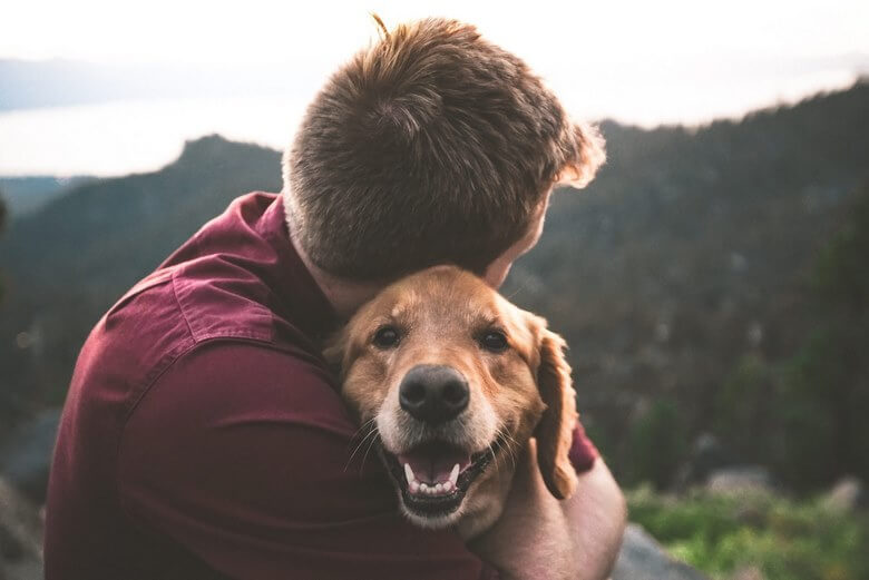 درمان افسردگی با حیوانات خانگی